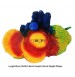 Orange Shell With Cactus Plant